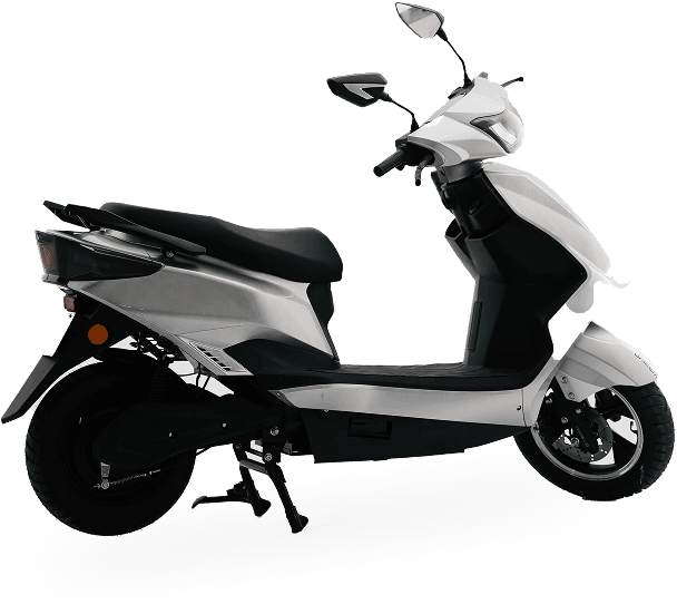 Warivo Edge+
